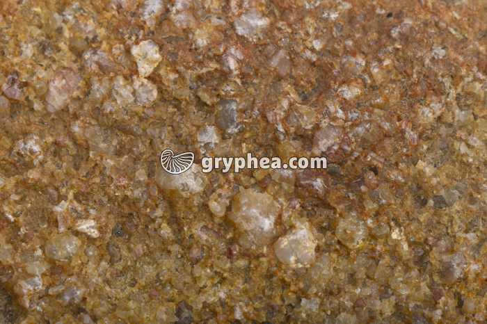 Grès (Emosson, Suisse) - détail - gryphea.org